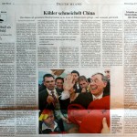 "Die Welt" vom 20. Mai 2010