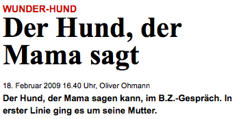 Screenshot bz-berlin.de